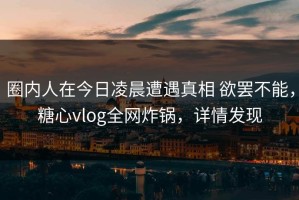圈内人在今日凌晨遭遇真相 欲罢不能，糖心vlog全网炸锅，详情发现