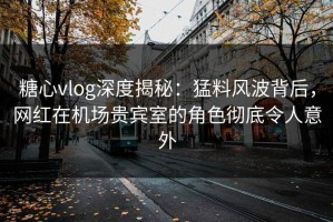 糖心vlog深度揭秘：猛料风波背后，网红在机场贵宾室的角色彻底令人意外