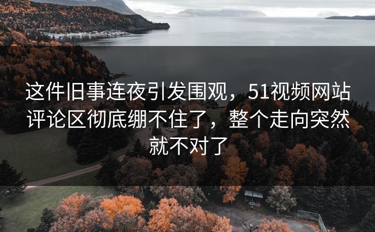 这件旧事连夜引发围观，51视频网站评论区彻底绷不住了，整个走向突然就不对了